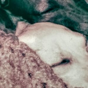 Meet your Posher, Gregory